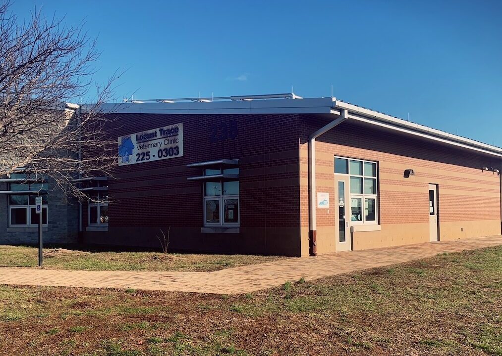 Veterinarian Lexington, Locust Trace Veterinary Clinic