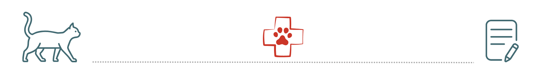 pet insurance helps support healthy dogs and cats at Locust Trace Veterinary Clinic Lexington KY