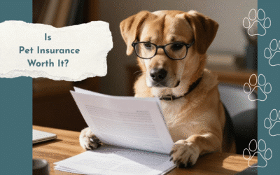 Is Pet Insurance Worth It in Lexington, KY?