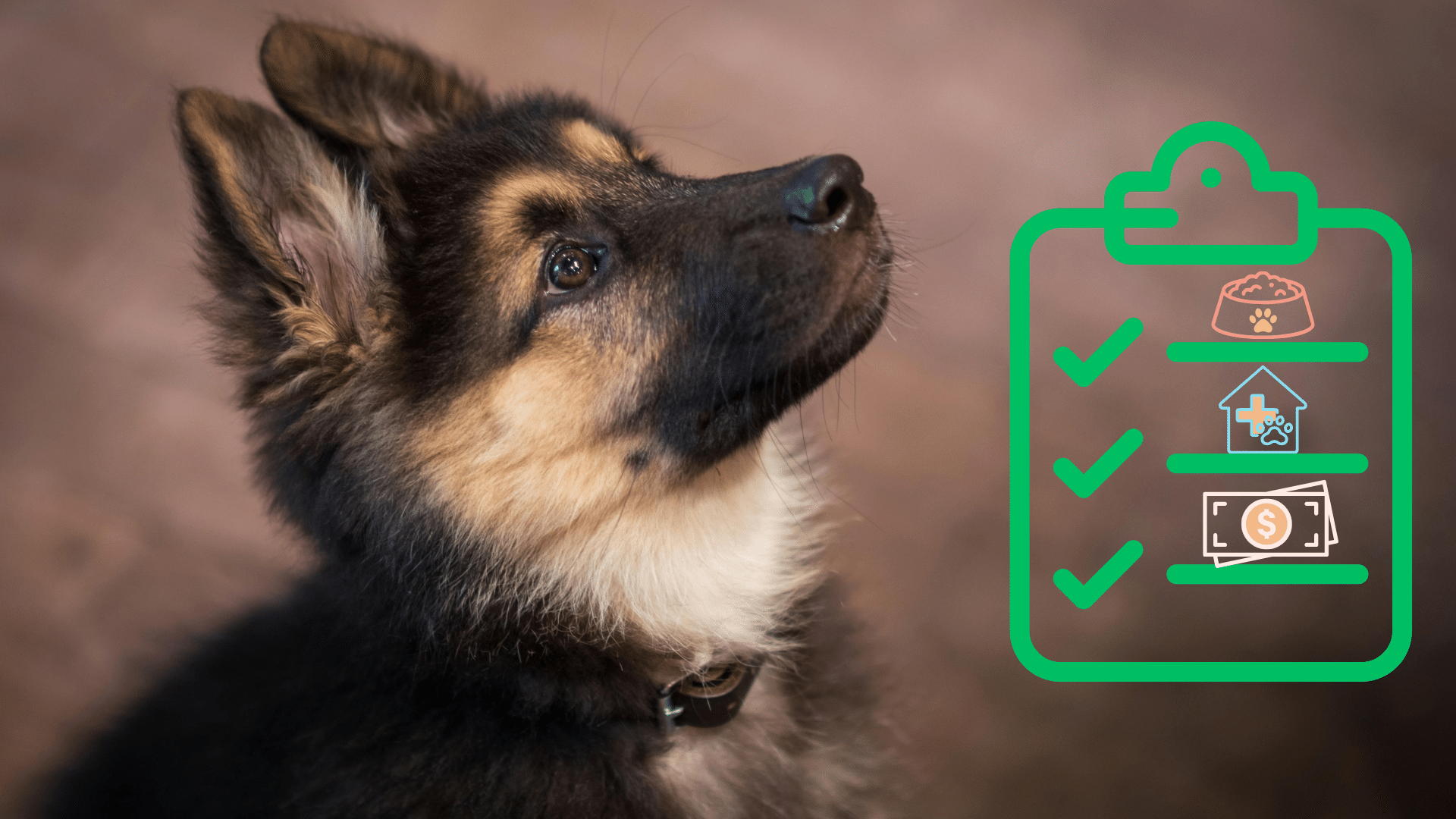 New Dog Care Checklist German Shepherd puppy beside a new pet checklist for Locust Trace Veterinary Clinic in Lexington, KY
